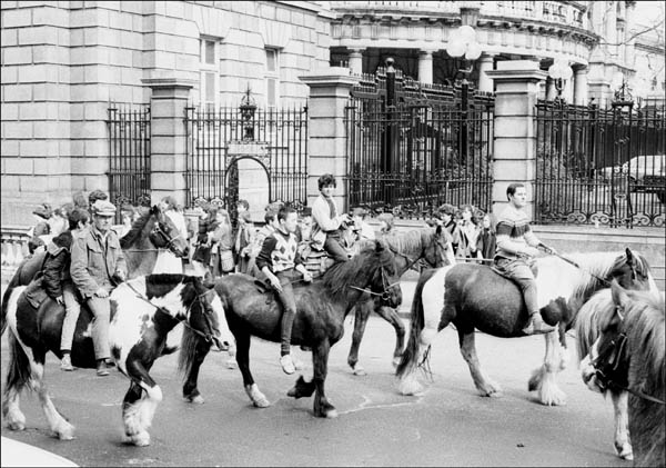 Fig. 11: Rose Comiskey, Protest at Dáil Éireann, Dublin.